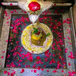 Jyotirlinga Tour Maharashtra Gujarat Madhya Pradesh