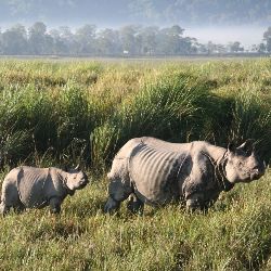 North East Paradise 8 Nights 9 Days  