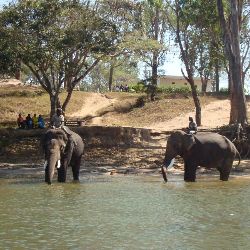 Tour Magical Coorg 3 Night 4 Days