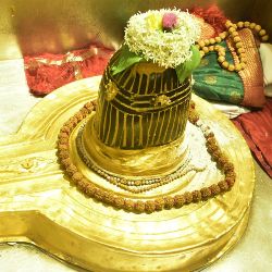 Tour Ayodhya Varanasi  Naimisharanyam Allahabad