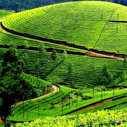 Best Of Nainital Kumaon Hills 6 Night 7 Days from Delhi