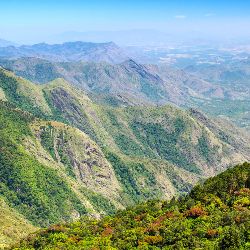 Hill Station tour Kodaikanal- Munnar- Thekkady 7 Night 8 Days