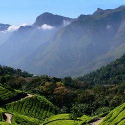 Tour Enchanting Kerala 7 Night 8 Days from Cochin