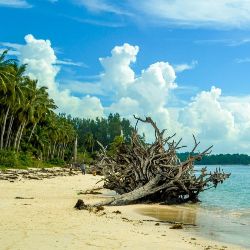 Beach Tour Wandoor Bartang Port Blair Havelock