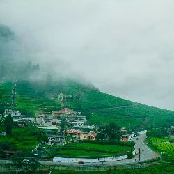 Honeymoon Tour Coorg  Ooty 7 Night 8 Days Bangalore  and  Mangalore